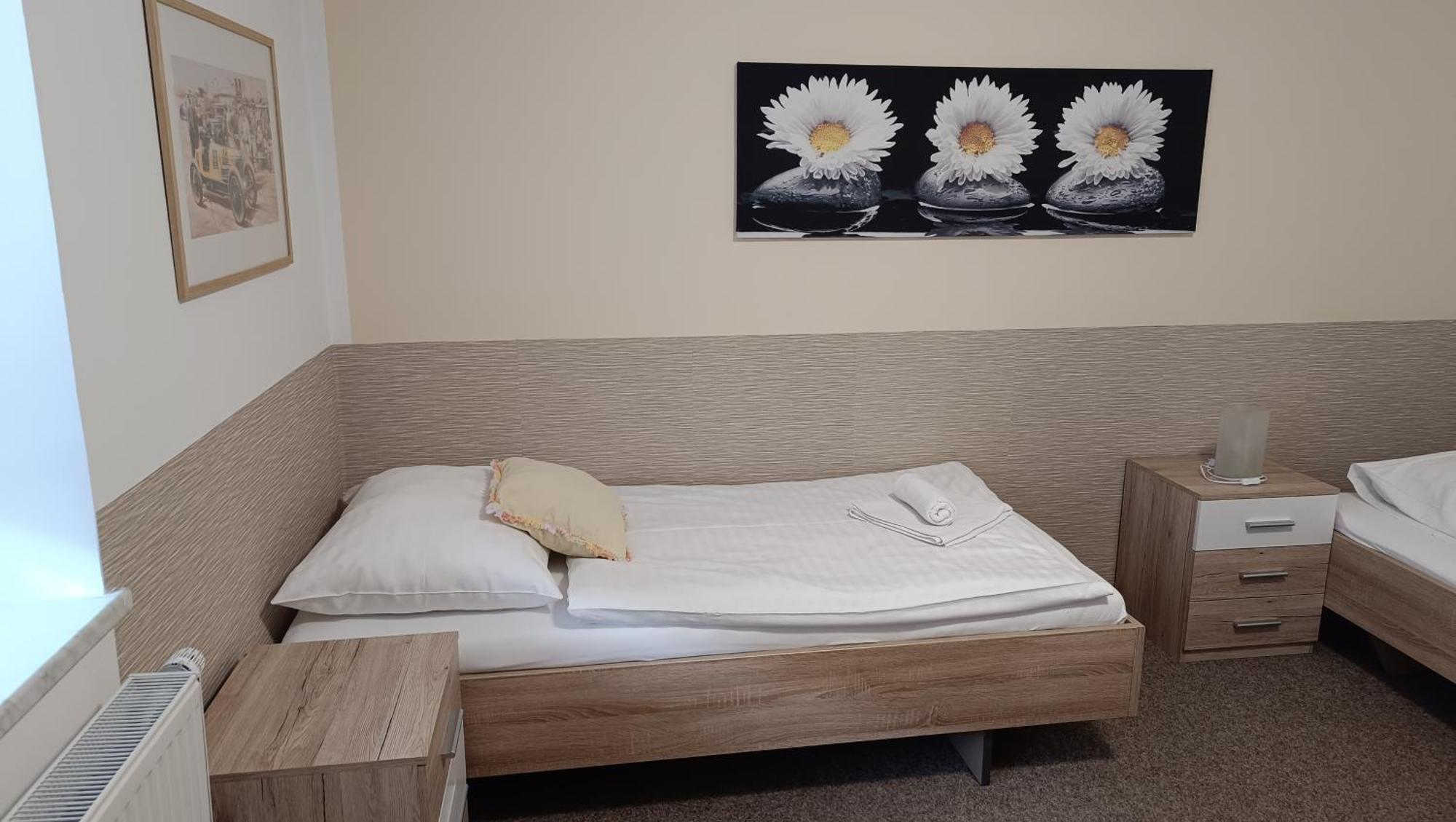 Svítkov 79 Apartmán *